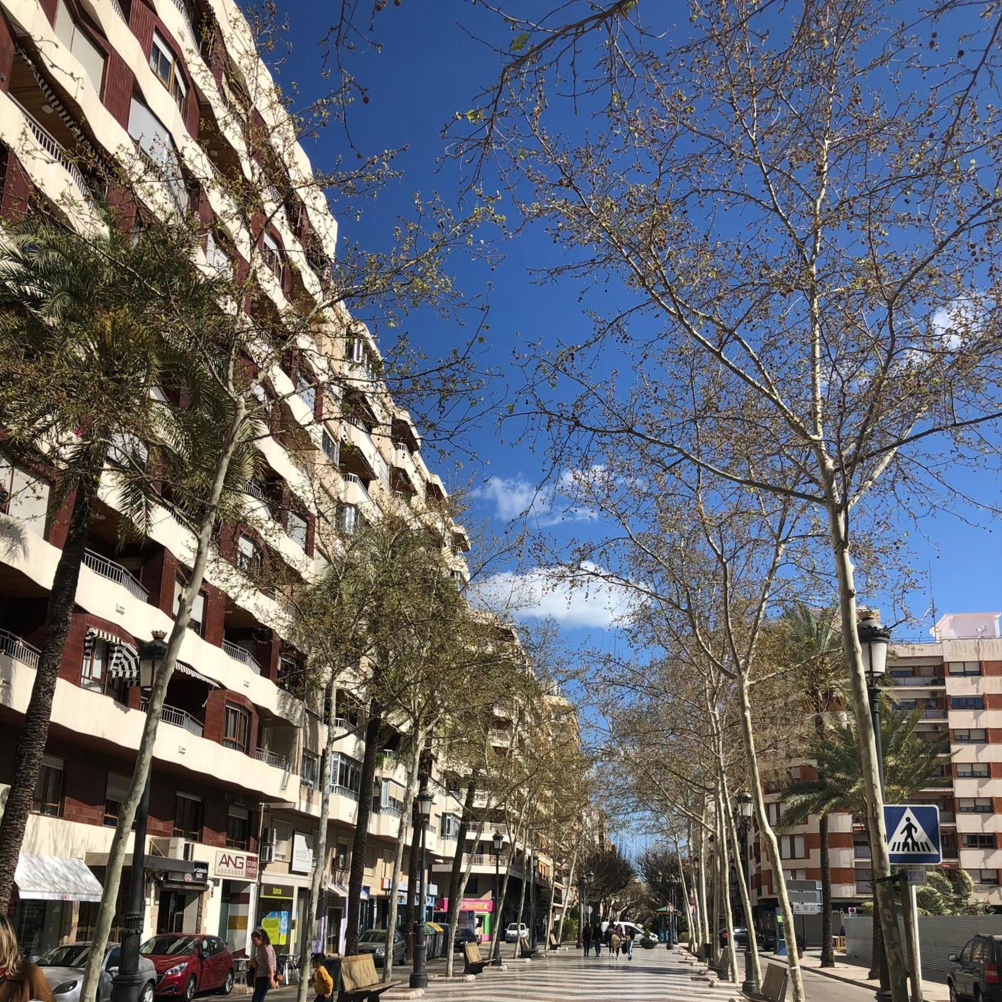 Hostal En A 5 Min Del Centro Histórico Gandía
